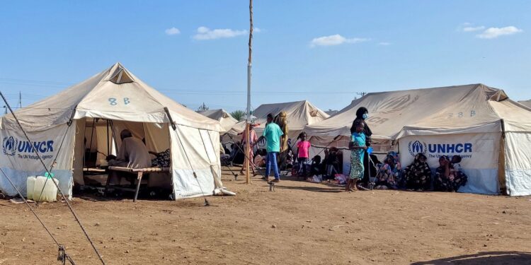 Horreur au Darfour : 460 morts dans une maternité, l’OMS lance un cri d’alarme