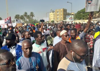 Dakar : Le collectif Nio Lank « électrocute » la Senelec !