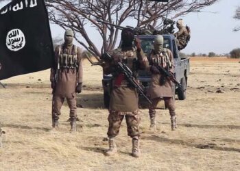 Nigeria : l’État islamique en Afrique de l’Ouest revendique la capture et l’exécution d’un commandant militaire