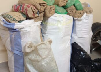 Saisie de 108 kg de chanvre indien à Mballing : les trafiquants prennent la fuite