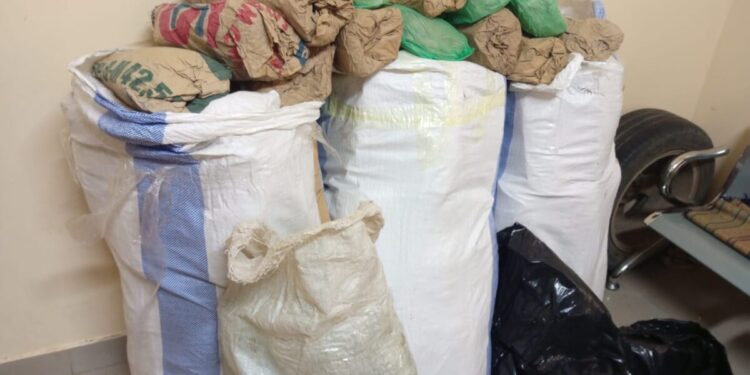 Saisie de 108 kg de chanvre indien à Mballing : les trafiquants prennent la fuite