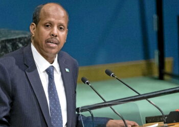 Crise au Mali : l’UA exige une « action internationale urgente » pour contrer le JNIM