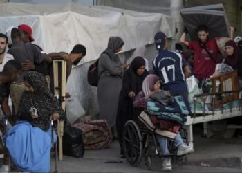 Afrique du Sud : mystère autour d’un avion « fantôme » transportant 153 réfugiés palestiniens