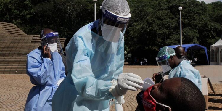 Éthiopie : une épidémie du virus de Marburg confirmée dans le sud du pays