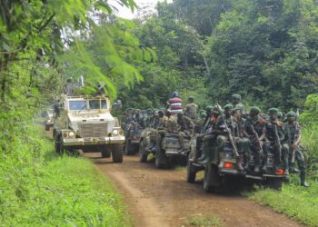 RDC : 89 civils tués par les ADF en une semaine dans le Nord-Kivu