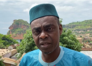 Mali : l’opposant Issa Kaou N’Djim libre