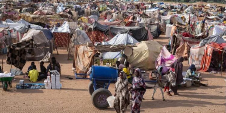 Darfour : viols, meurtres et enfants disparus après la chute d’al-Fashir
