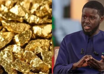 OR SÉNÉGALAIS : Diomaye crée un Comptoir national pour contrôler la commercialisation