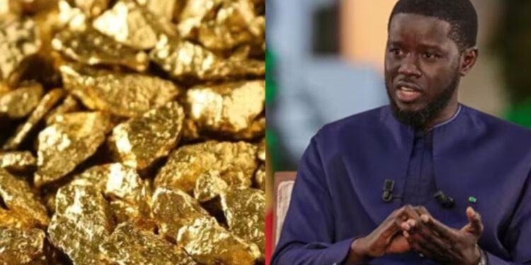 OR SÉNÉGALAIS : Diomaye crée un Comptoir national pour contrôler la commercialisation