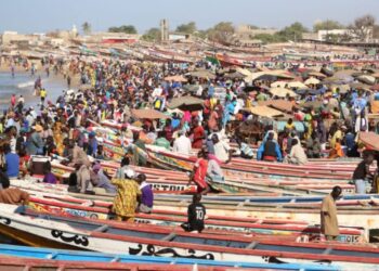 Contraste économique au Sénégal : Recettes record, dette abyssale !