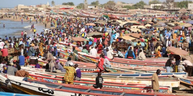 Contraste économique au Sénégal : Recettes record, dette abyssale !