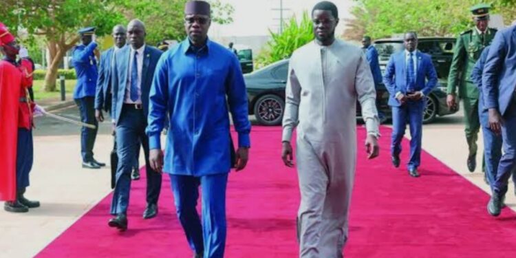 Audience BP Pastef et Diomaye Faye : l’absence d’Ousmane Sonko, un silence qui interroge