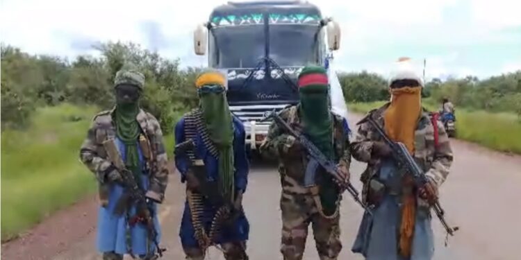 Mali : le JNIM menace de renforcer son blocus