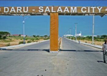 Mogadiscio : un boom immobilier fait renaître la capitale somalienne