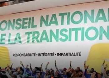 Guinée : une nouvelle loi sur les partis politiques divise le CNT