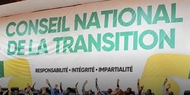 Guinée : une nouvelle loi sur les partis politiques divise le CNT