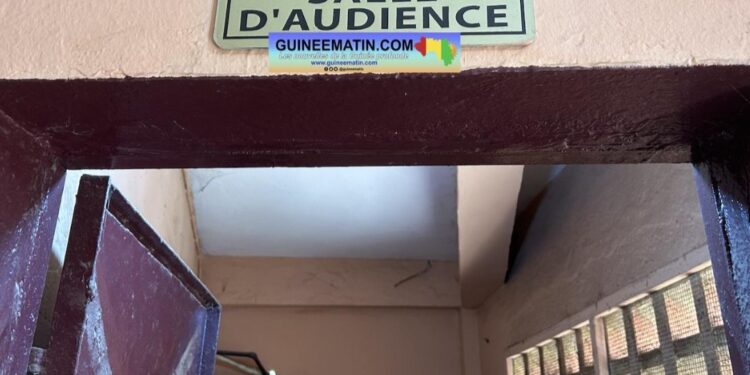 Guinée : deux individus condamnés pour usurpation de fonctions et escroquerie