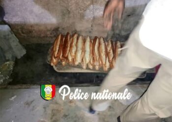 Grand-Yoff : la Police démantèle une boulangerie clandestine, du pain impropre à la consommation découvert