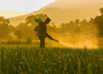 Scandaleux ! L’UE continue d’exporter des pesticides dangereux vers les pays africains