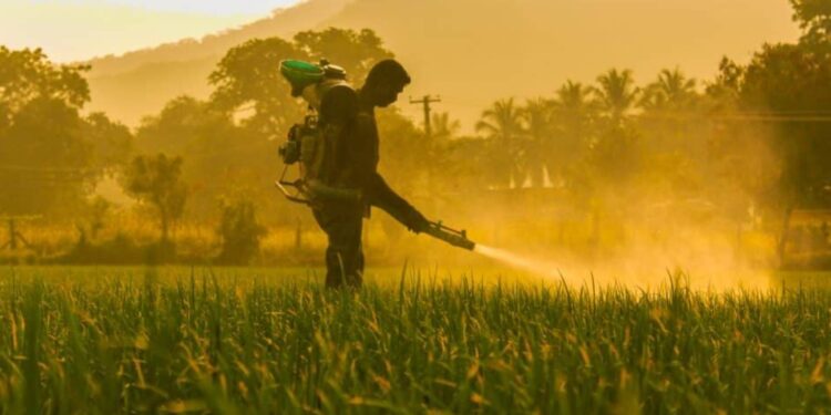 Scandaleux ! L’UE continue d’exporter des pesticides dangereux vers les pays africains