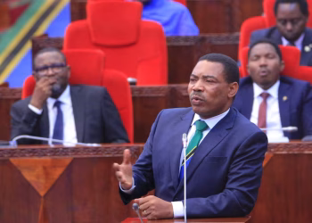 Tanzanie : L’ancien ministre des Finances, Mwigulu Nchemba, désigné Premier ministre