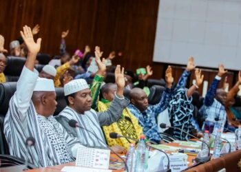 Guinée : les citoyens pourront désormais saisir la Cour constitutionnelle