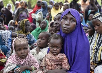 Famine au Nigeria : 35 millions de personnes menacées selon le PAM