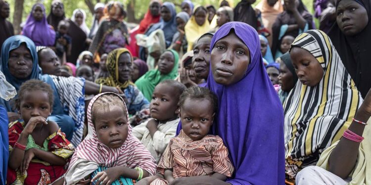 Famine au Nigeria : 35 millions de personnes menacées selon le PAM