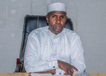 L’UNDR et la démocratie tchadienne ( Opinion)