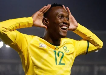 Bafana Bafana : Un départ de patrons !