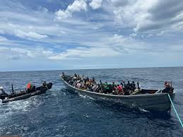 Gambie : 110 candidats à la migration irrégulière escroqués pour 60 millions FCFA