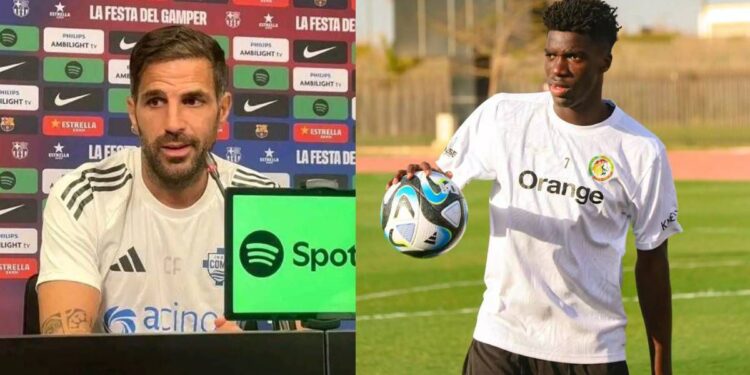Cesc Fàbregas sur Assane Diao : « Puisqu’on paie son salaire, autant le laisser jouer un peu pour nous »