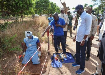 Casamance : le Président Diomaye Faye fait du déminage un pilier de la relance économique et sociale
