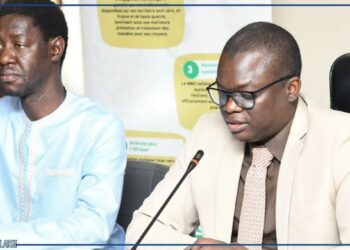 Scandale SoftCare : le directeur de l&rsquo;ARP,  Dr Alioune Ibnou Diouf sur chaise éjectable ?