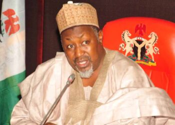 Nigeria : le ministre de la Défense démissionne en pleine crise sécuritaire