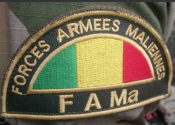 Mali : les FAMa sécurisent le Sud et démantèlent les réseaux armés