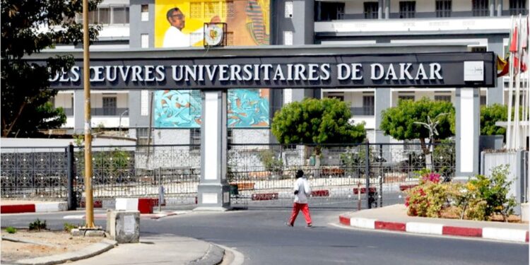 Sénégal : le gouvernement casque 9 milliards de FCFA  pour le recrutement de 500 enseignants