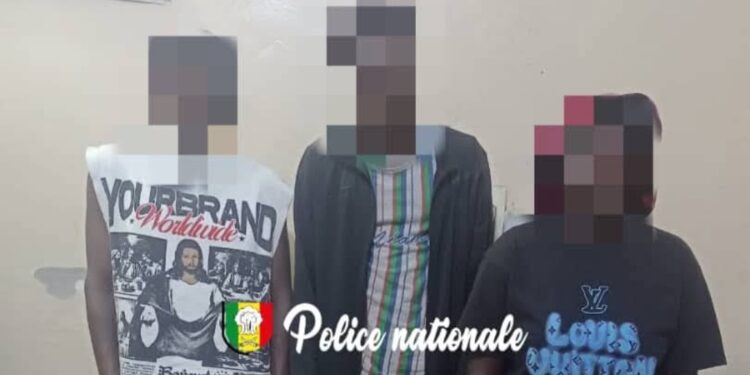 Sénégal : Trois personnes interpellées pour trafic international d’ecstasy et de cannabis