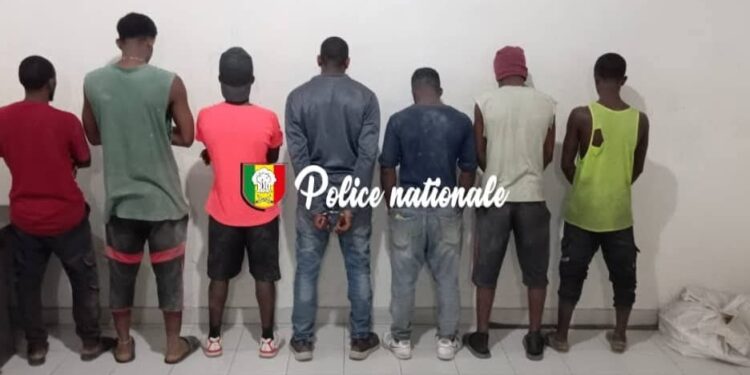 Danger alimentaire : pain toxique, deux boulangeries clandestines démantelées à Thiaroye