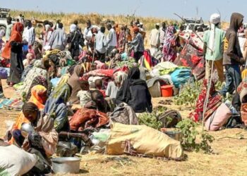 Tanzanie : l’ONU alerte sur une répression post-électorale d’une ampleur inédite