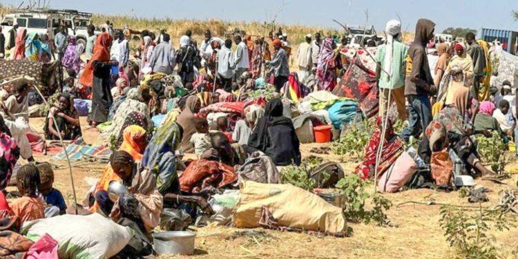 Tanzanie : l’ONU alerte sur une répression post-électorale d’une ampleur inédite