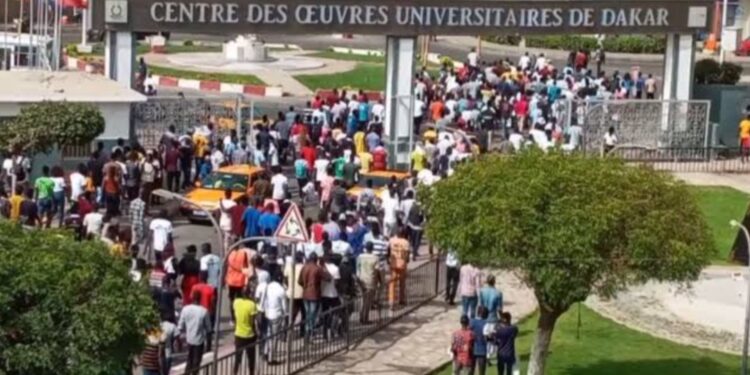 Bourses impayées : les étudiants de l’UCAD suspendent la grève mais se mobilisent dans la rue