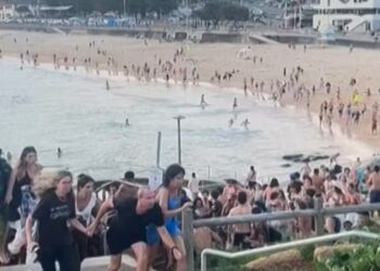 Australie : 11 morts et 12 blessés dans une fusillade à Bondi Beach