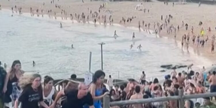 Australie : 11 morts et 12 blessés dans une fusillade à Bondi Beach
