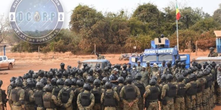 Sénégal : 699 personnes arrêtées lors d’une vaste opération contre l’orpaillage clandestin à Kédougou