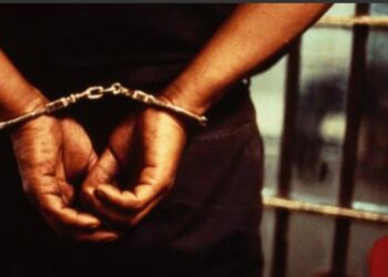 Faux conseiller de Diomaye Faye : un imposteur de 69 ans démasqué et présenté au parquet