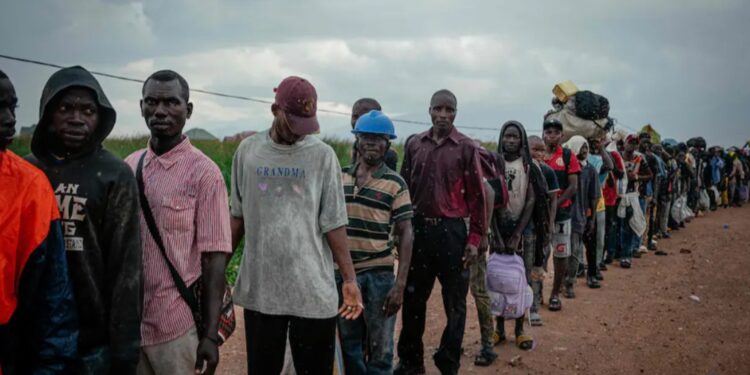 Urgence humanitaire : l’ONU lance un appel pour accueillir 80 000 réfugiés au Burundi