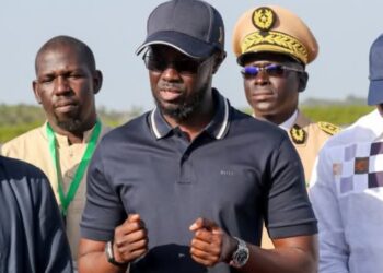  Casamance : Bassirou Diomaye Faye mise sur le « cousinage à plaisanterie » pour ramener la paix 