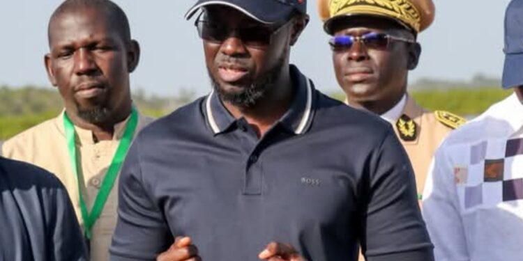  Casamance : Bassirou Diomaye Faye mise sur le « cousinage à plaisanterie » pour ramener la paix 