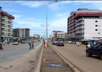 Guinée : Cinq choses à savoir avant une présidentielle sous contrôle …